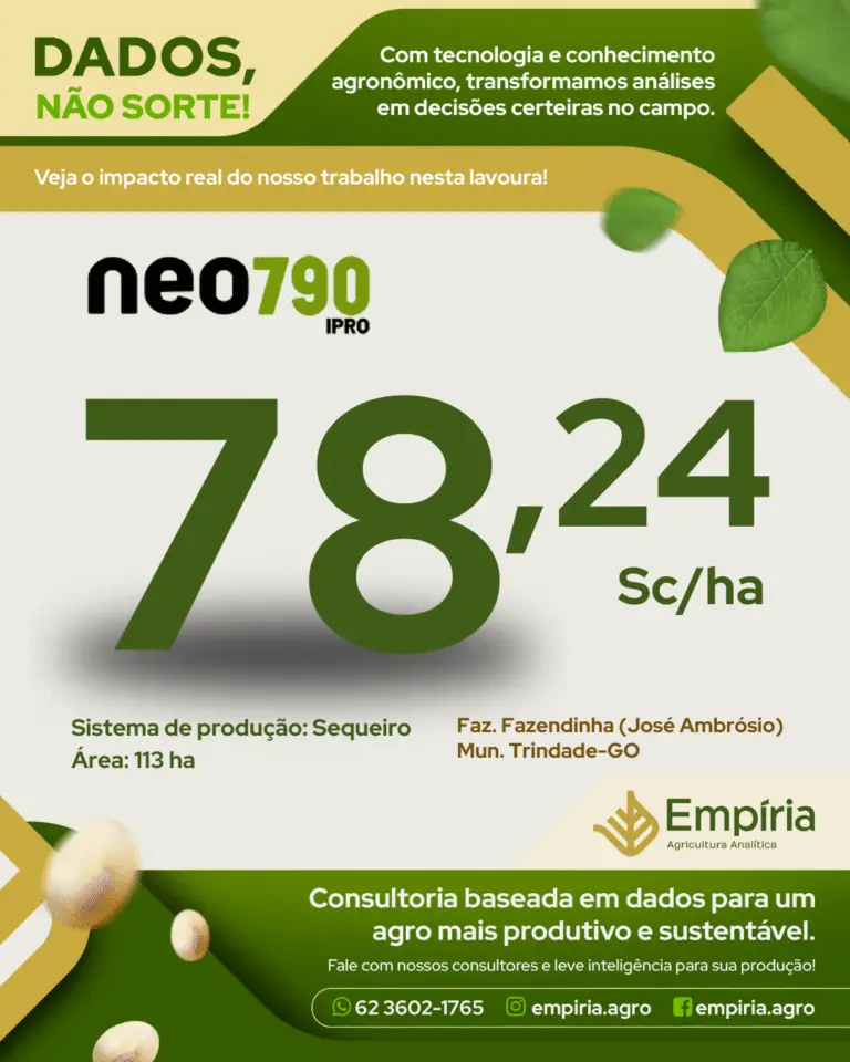 FEED - José Ambrósio