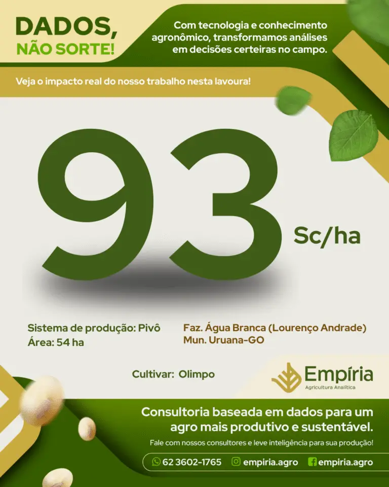 FEED - Lourenço Andrade